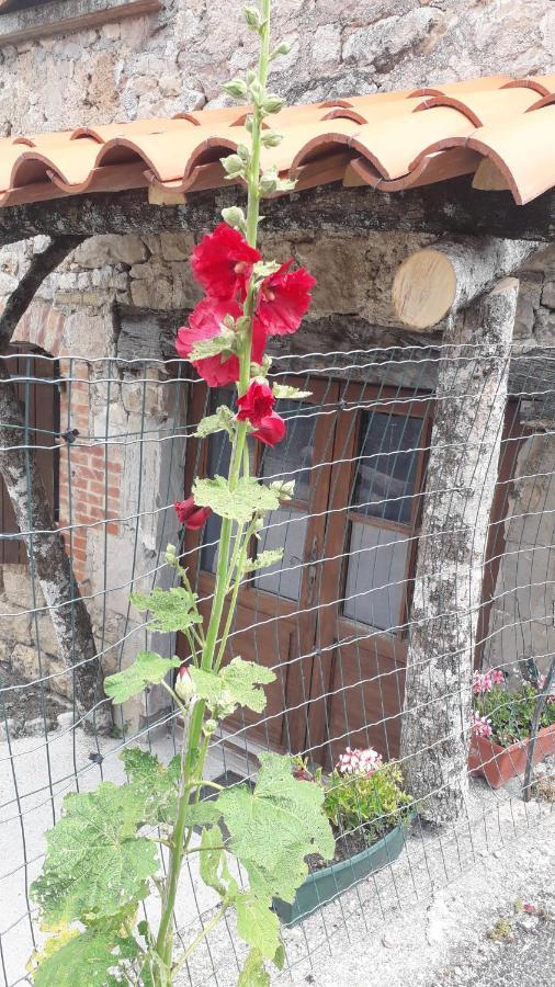 Les Tremieres Bed & Breakfast Saint-Paul-des-Fonts Ngoại thất bức ảnh